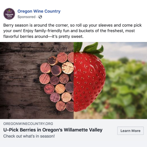 Oregon Wine Country - “Wine Plus” social campaign - Facebook sample berry