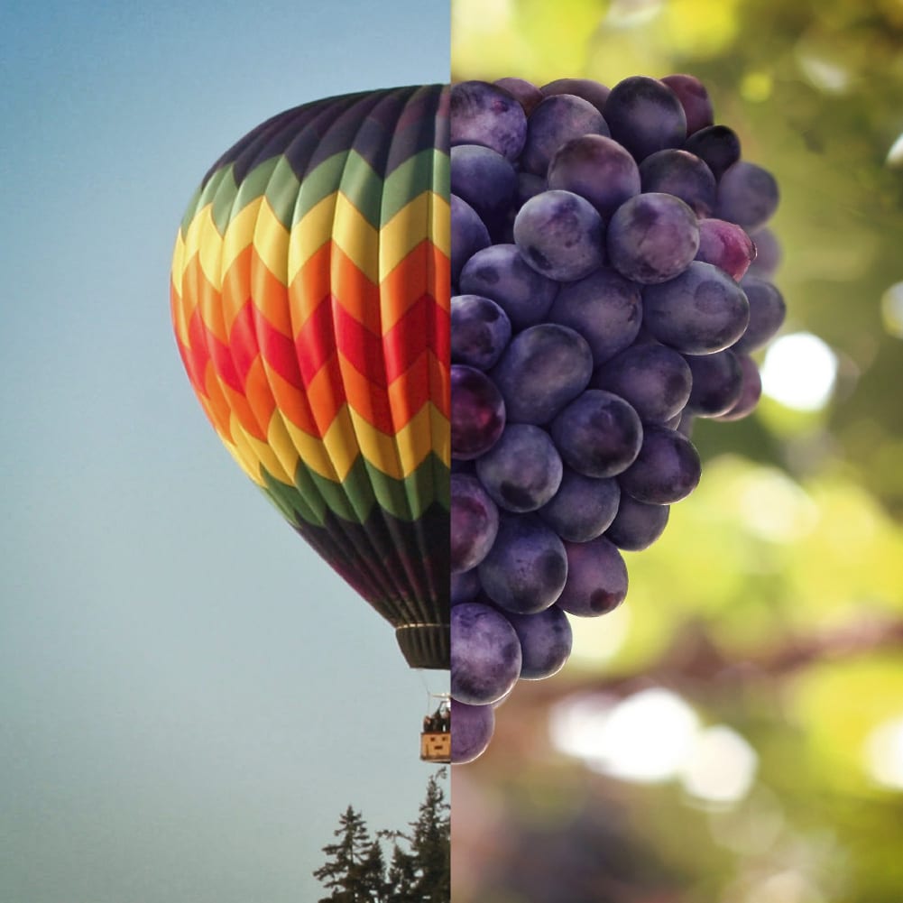 Oregon Wine Country - “Wine Plus” social campaign - split baloon