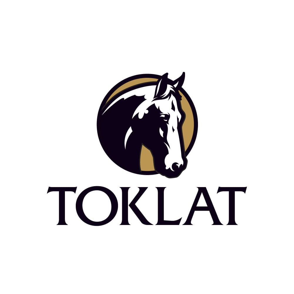 TOK brand main logo