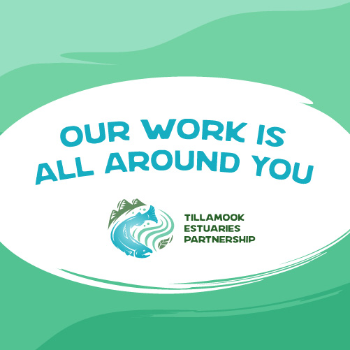 Tillamook Estuaries Partnership our work is all around you